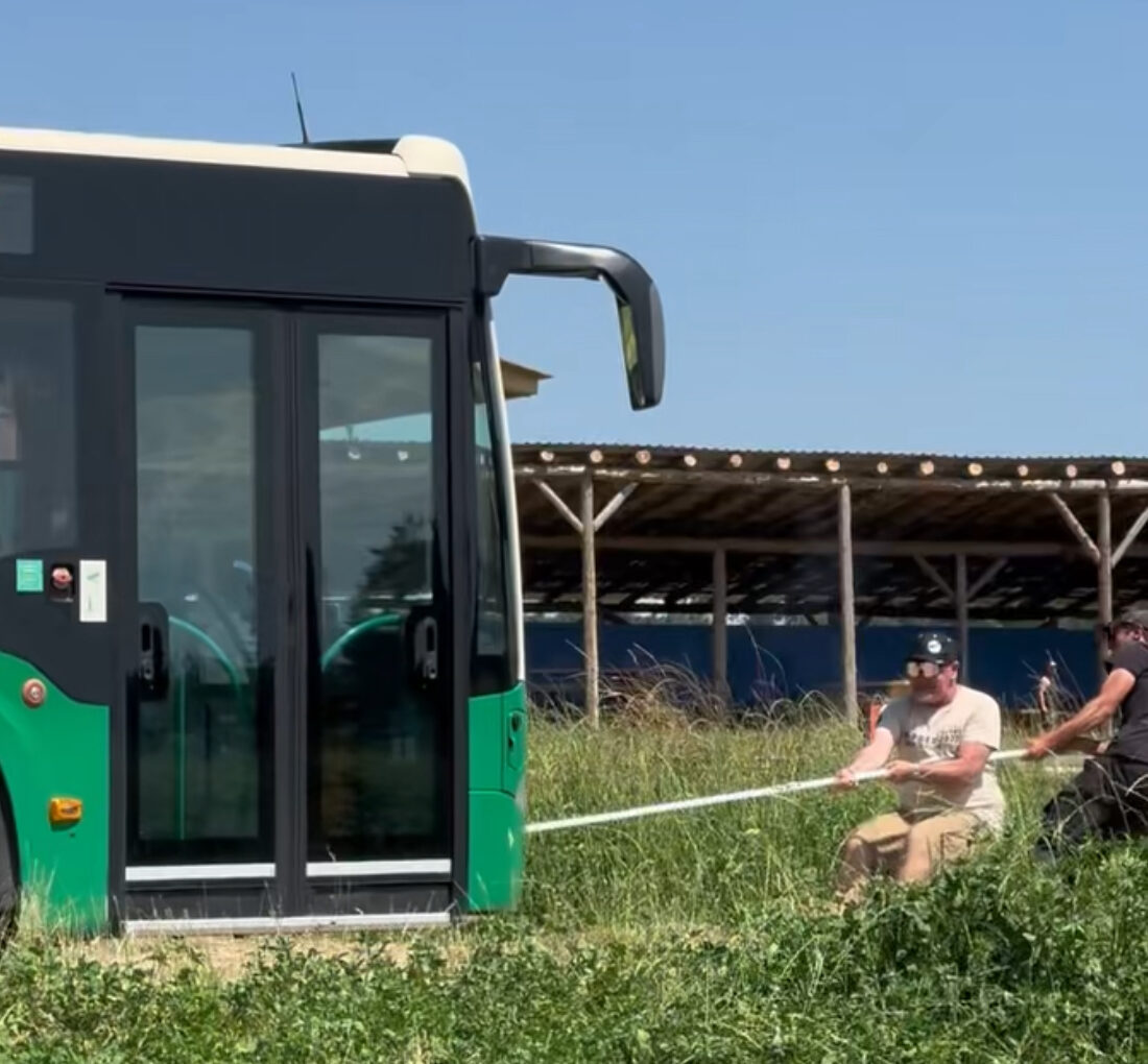 Activité MBC